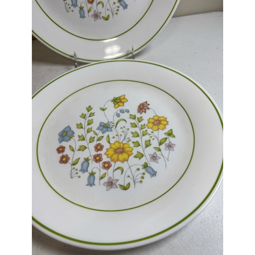 Corelle Spring Meadow 10.25" Dinner Plates Set of 4 Green Rim - Picture 3 of 7